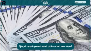 تحديث سعر الدولار مقابل الجنيه المصري اليوم.. كم بلغ؟